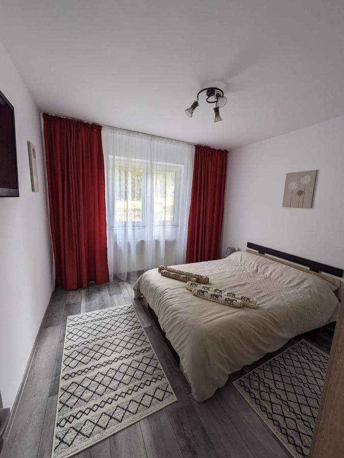 Apartamentul Alfa 斯兰默多瓦 外观 照片